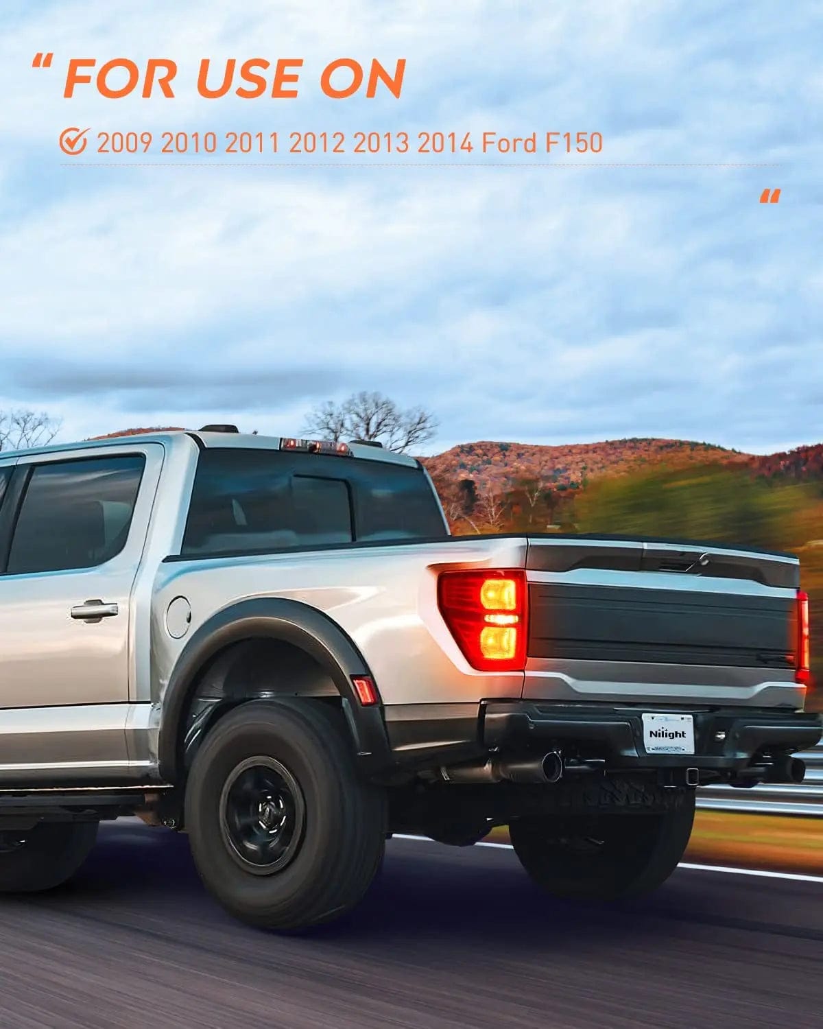 Taillight Assembly 2009 2010 2011 2012 2013 2014 Ford F150 Tail light Assembly Rear Lamp Replacement OE Style Red Housing Driver Passenger Side