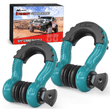 3/4 inch D-Ring Shackle Teal (Pair) Nilight