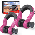 3/4 inch D-Ring Shackle Fuchsia (Pair) Nilight