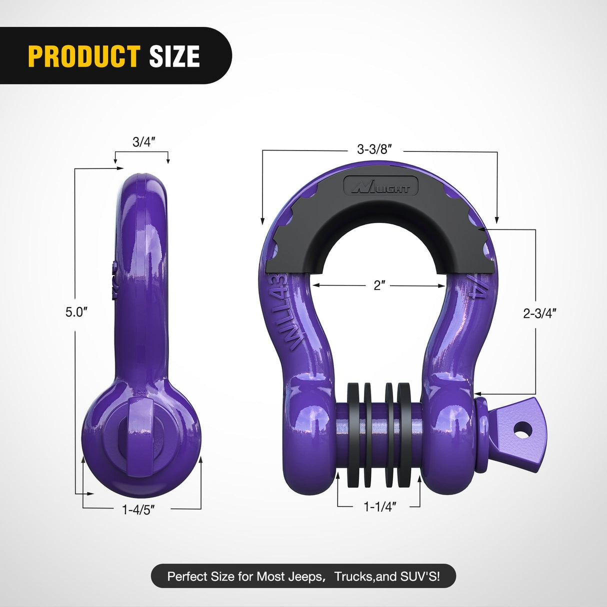 Shackle 3/4 inch D-Ring Shackle Purple (Pair)