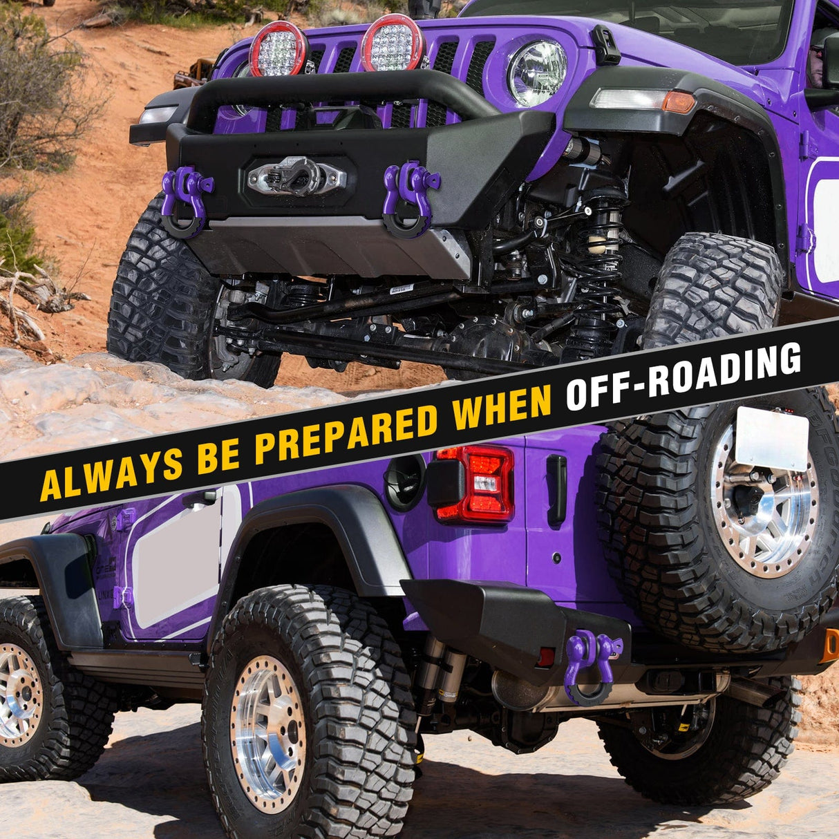 Shackle 3/4 inch D-Ring Shackle Purple (Pair)