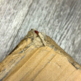 Pre-Owned 5-Drawer Plastic Storage Tower Organizer with Fabric Bins & Sturdy Metal Frame - Compact Space-Saving Design for Bedroom, Closet, Living Room