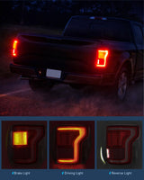 Taillight Assembly Compatible with 2015 2016 2017 Ford F150 Rear Tail Light with Blind Spot Lamp Replacement LED OE Style Module NOT Included Drive and Passenger Side