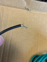 4 Pin Trailer Wiring Harness Kit 56349 Vehicle Standard 4 Way Connector Custom for Toyota Tacoma 2016 2017 2018 2019 2020 2021 2022 2023