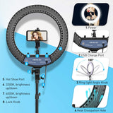 Ring Light 18 inch with Tripod Stand Ringlight Kit Dimmable 6000K/3200K Circle Lighting Phone Holder Bluetooth Remote Carry Bag for Zoom TikTok Makeup Video Photography Blogging Portrait