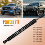 Pickup Tailgate Assist Shock Accessories for 15-24 Ford F150, Truck Tail Gate Lift Assist Tailgate Shock Damper fit for Ford F-150 2015 2016 2017 2018 2019 2020 2021 2022 2023 2024
