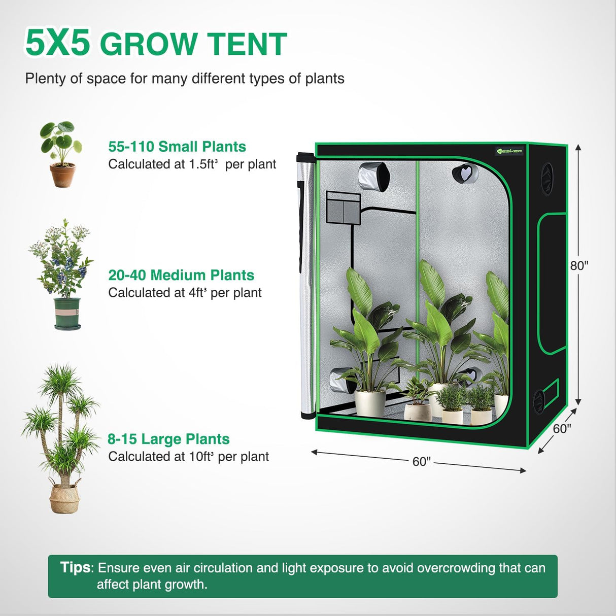 5x5 Grow Tent 60 Inchx60 Inchx80 Inch High Reflective Mylar Large Indoor Growing Tents 600D Oxford Cloth with Observation Window and Removable Floor Tray for Hydroponics Indoor Plants Fruit Flower Growing