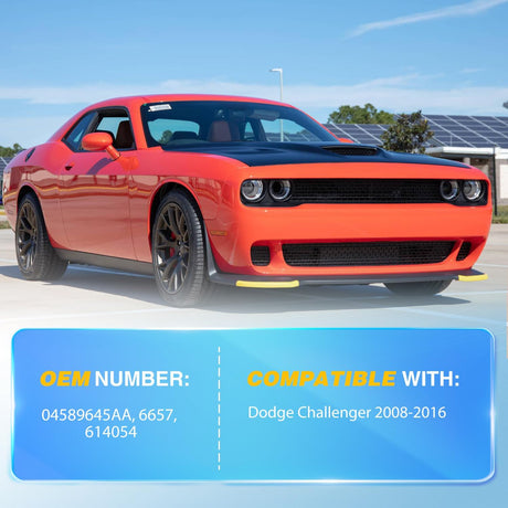 Rear Hatch Struts 6657 for Dodge Challenger 2008-2016, Tailgate Lift Supports Rear Door Shocks 12 Inch, 2PCS Set Rod