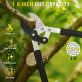 29.5 Inch Loppers Heavy Duty Tree Trimmer Sharp Anvil Blade Bypass Loppers up to 1.6 Inch Dia Cut Capacity Compound Action System Limb Branch Cutter Ideal for Tree Trimming Garden Maintenance