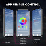 RGB Rock Lights RGB LED Rock Lights Kit 10 PCS 18LED Wide Angle Wheel Well Light with Remote & Bluetooth App Dual Control Multi Modes Underglow Multicolor Neon Pod for ATV UTV SUV Offroad Truck RZR Boat