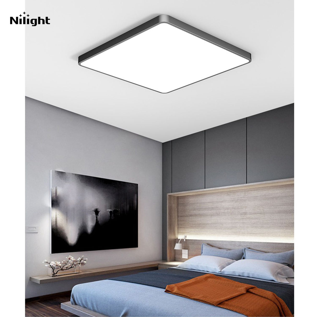 Lighting apparatus, namely, lighting installations