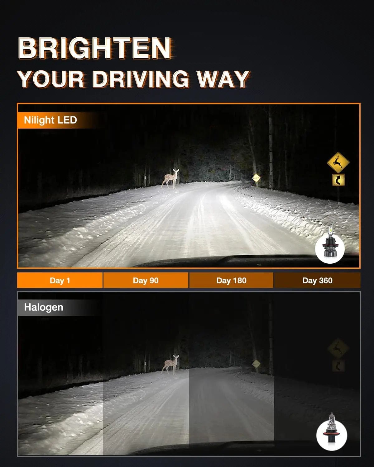 LED Headlight H13/9008 LED Headlight Bulbs | H10/9145/9140 Fog Light Bulbs Combo E20 Series 6000K IP67 | 4 BULBS