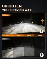 LED Headlight H13/9008 LED Headlight Bulbs | H10/9145/9140 Fog Light Bulbs Combo E20 Series 6000K IP67 | 4 BULBS