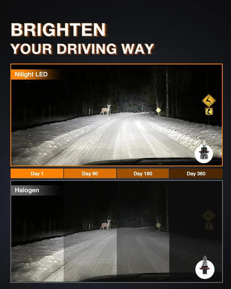 LED Headlight H13/9008 LED Headlight Bulbs | H10/9145/9140 Fog Light Bulbs Combo E20 Series 6000K IP67 | 4 BULBS