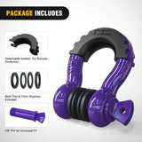 3/4 inch D-Ring Shackle Purple (Pair)