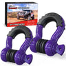 3/4 inch D-Ring Shackle Purple (Pair)