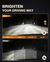 LED Headlight 9005 H11 LED Headlight Bulbs | H11/H8/H16 LED Fog Lights Combo E20 Series 6000K IP67 | 6 BULBS