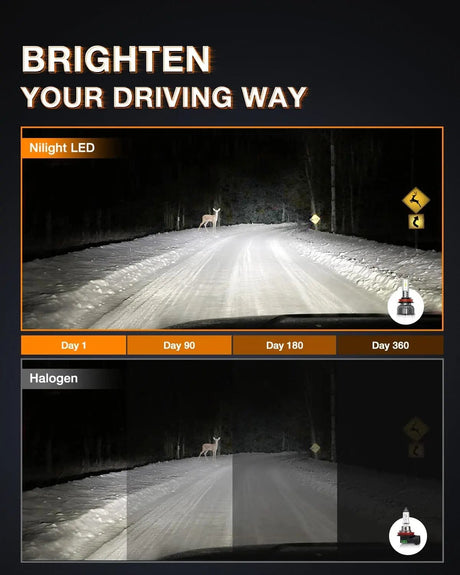 LED Headlight 9005 H11 LED Headlight Bulbs | H11/H8/H16 LED Fog Lights Combo E20 Series 6000K IP67 | 6 BULBS